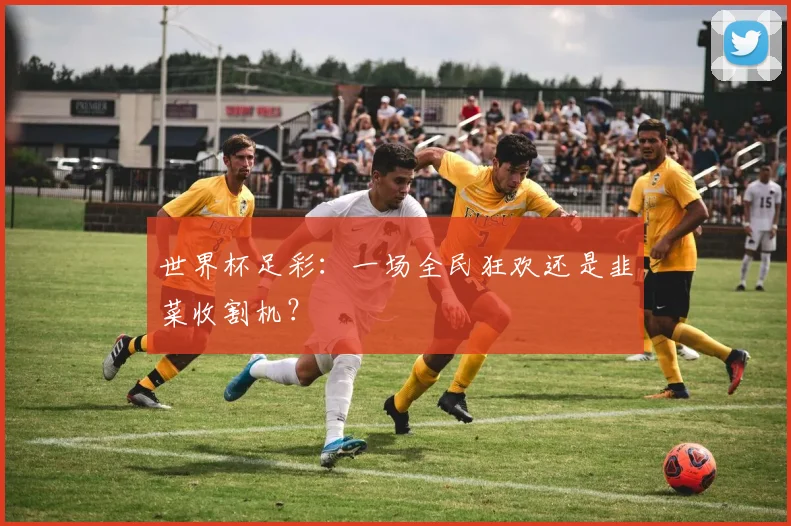 世界杯足彩:一场全民狂欢还是韭菜收割机?