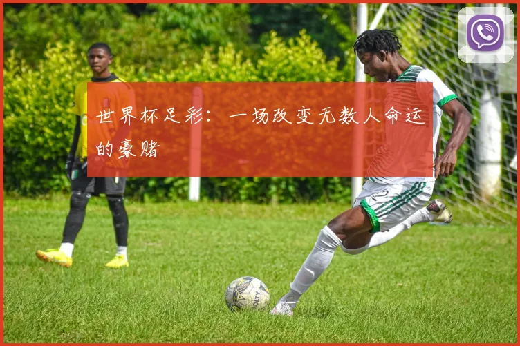 世界杯足彩:一场改变无数人命运的豪赌