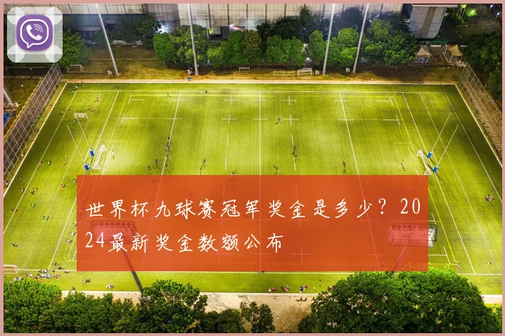 世界杯九球赛冠军奖金是多少？2024最新奖金数额公布